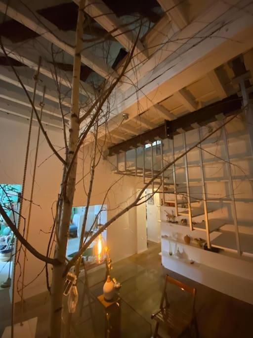 都灵Casa Degli Alberi公寓 外观 照片