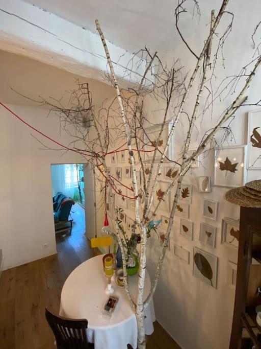 都灵Casa Degli Alberi公寓 外观 照片