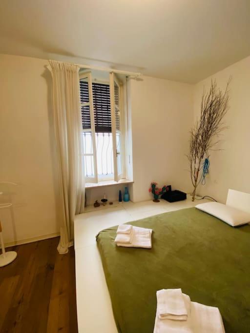 都灵Casa Degli Alberi公寓 外观 照片