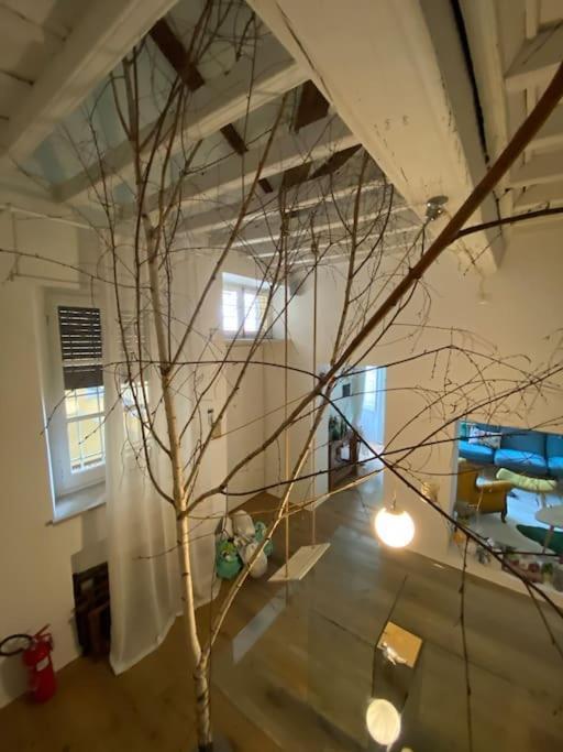 都灵Casa Degli Alberi公寓 外观 照片