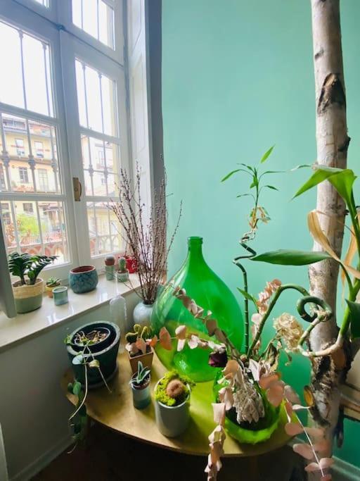 都灵Casa Degli Alberi公寓 外观 照片